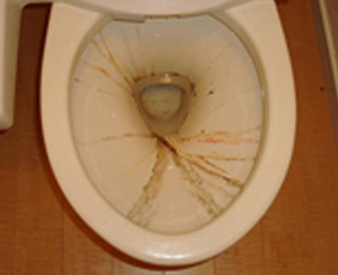 トイレイメージ